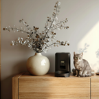 Distributeur de croquettes intelligent